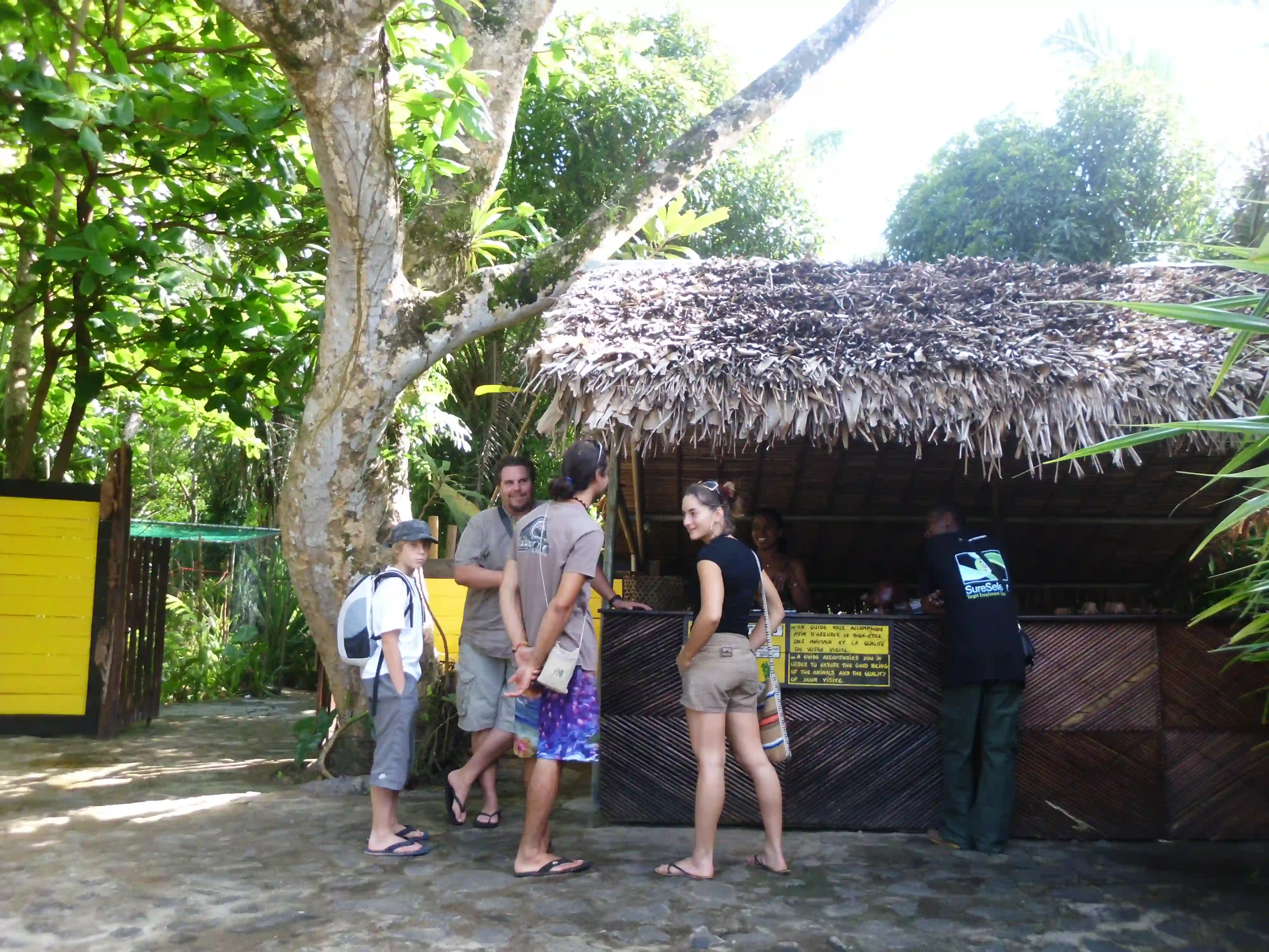 Forêt tropicale